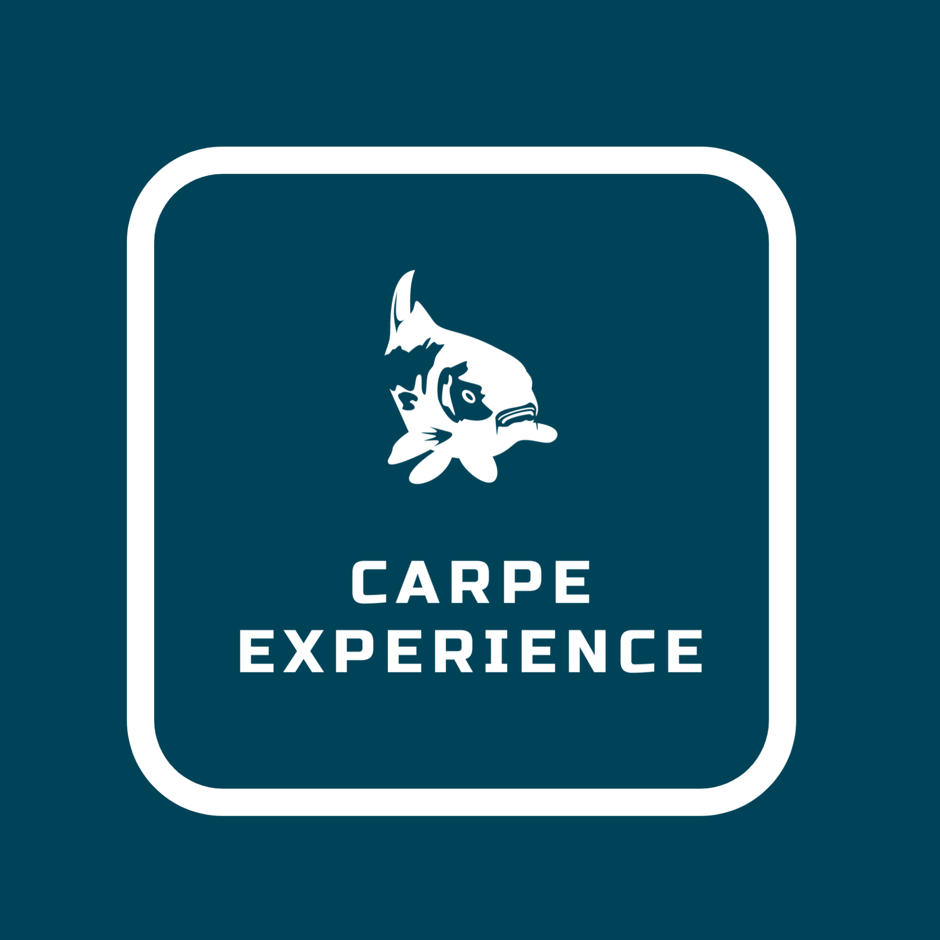 CARPE EXPERIENCE